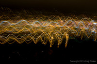 Intentional Camera Movement Nov. 2006