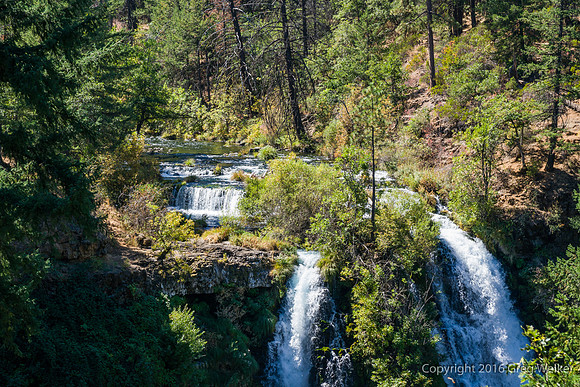 Burney Creek & Falls