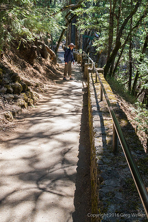 Trail To Falls