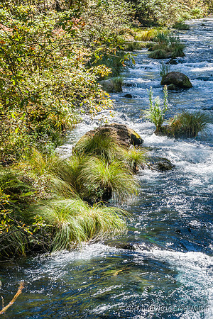 Burney Creek