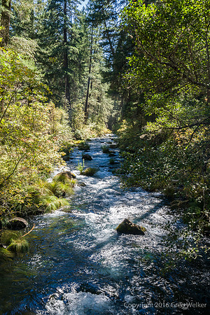 Burney Creek