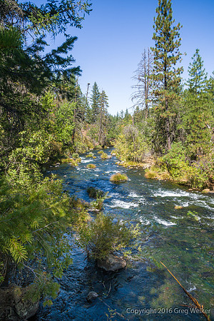 Burney Creek