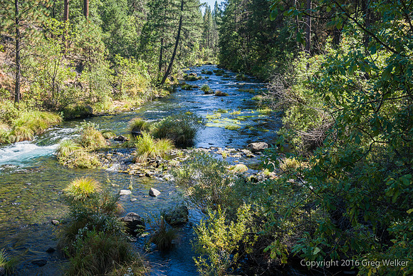 Burney Creek