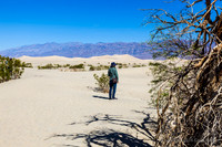 Mesquite Flat Sand Dunes