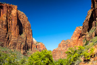 Zion National Park 2008 & 2015