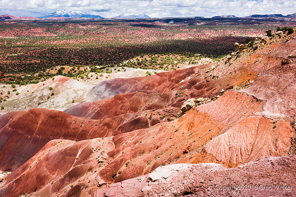 Burr Trail Shots