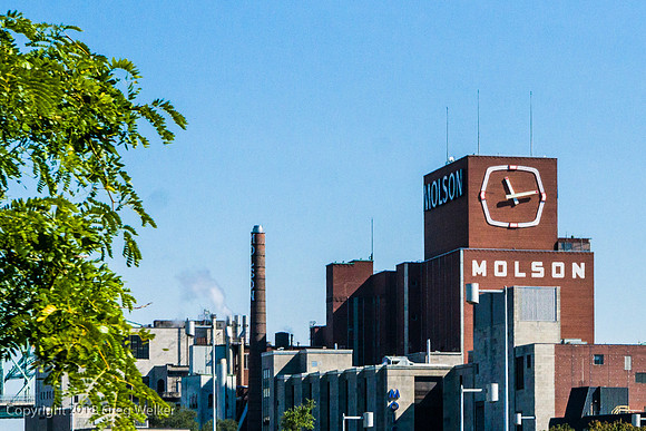Molson Brewery.